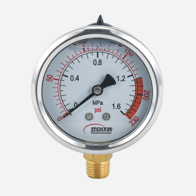 Seismic pressure gauge